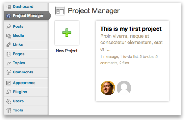 The Project Manager screen