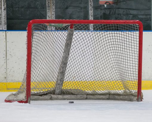 Hockey goal (metaphor for finding the zone, empty net, goals, etc.)