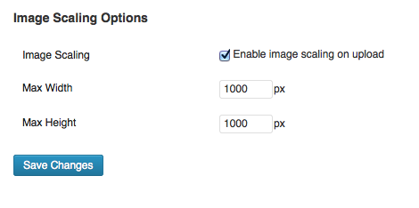 Enable Image Scaling options